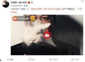 圈内爆料肖宇完整版  第3张